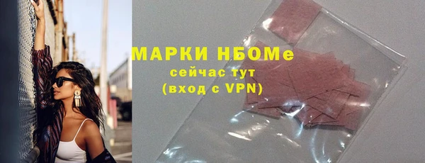 гидра Заводоуковск