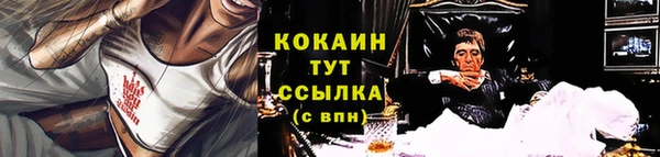 гидра Заводоуковск