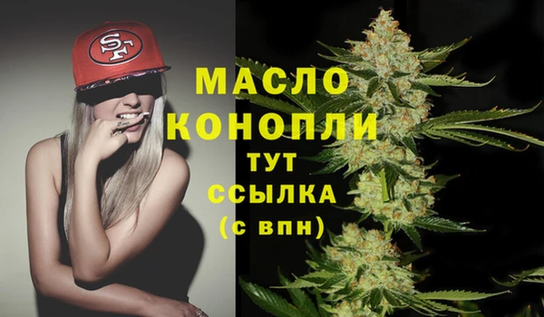 гидра Заводоуковск