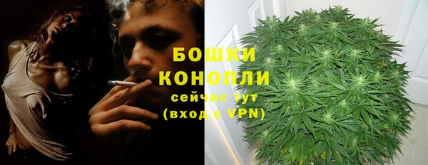 гидра Заводоуковск