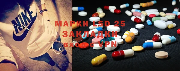 гидра Заводоуковск