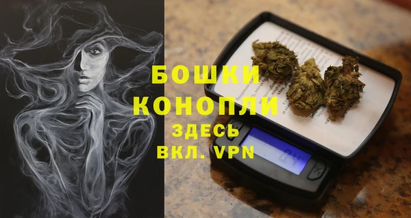 гидра Заводоуковск