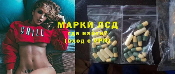 гидра Заводоуковск