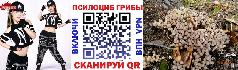 Псилоцибиновые грибы Cubensis  blacksprut ссылки  Козьмодемьянск 
